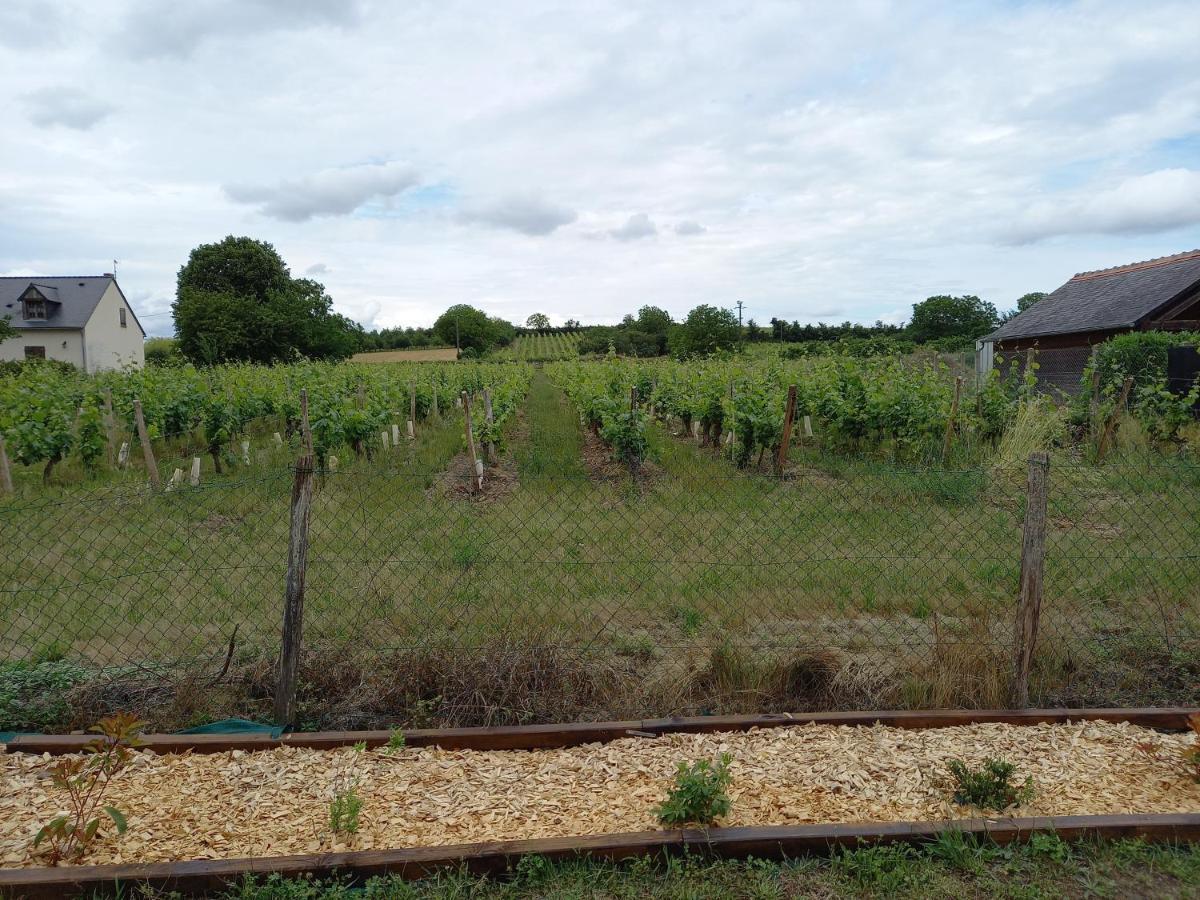 Hebergement Sarment Du Veron Chinon Villa Beaumont-en-Veron Exterior photo
